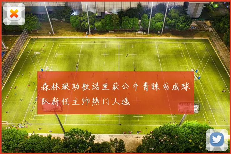 森林狼助教诺里获公牛青睐或成球队新任主帅热门人选