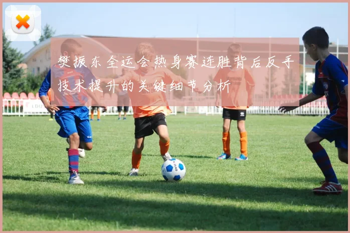 樊振东全运会热身赛连胜背后反手技术提升的关键细节分析